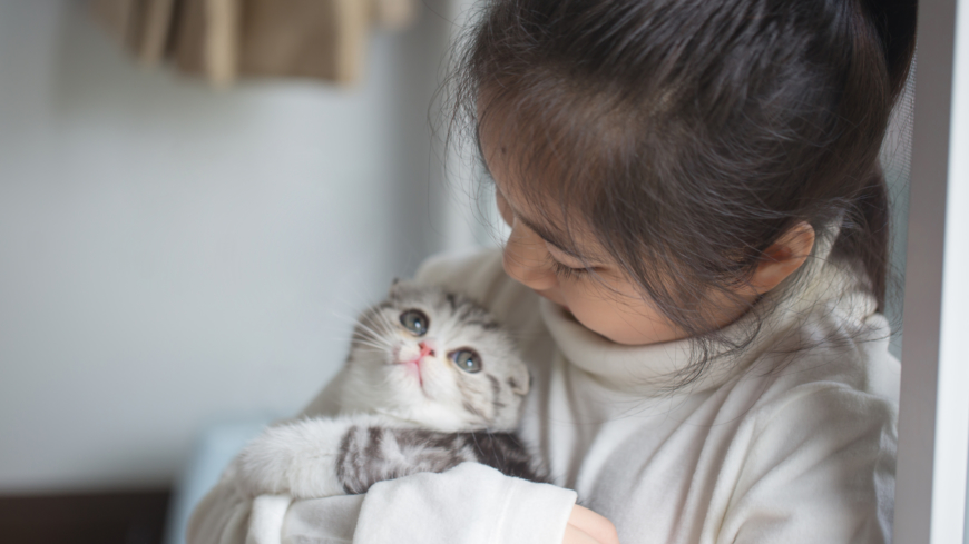 I studien deltog allt som allt ett sjuttiotal kattungar som var mellan 3 till 8 månader gamla.  Foto: Shutterstock